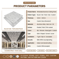Panneaux de plafond en aluminium perforé décoratifs et artistiques personnalisés avec éclairage LED