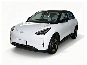 Geely <span class=keywords><strong>Star</strong></span> Wish 2026, Versione Explore 410km, Veicolo Elettrico a 5 Posti, Mini EV a Lunga Autonomia per Spostamenti Quotidiani - Product Image 1