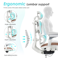 Milieu Du Dos Support Lombaire Fauteuil Visiteur Personnel De Travail Exécutif Ergonomique Chaise De Bureau