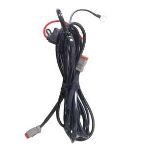 IATF16949 Заводская автомобильная светодиодная двойная светлая жгут проводов с 2 DT разъемом и водонепроницаемым держателем предохранителей 14AWG - Product Image 1