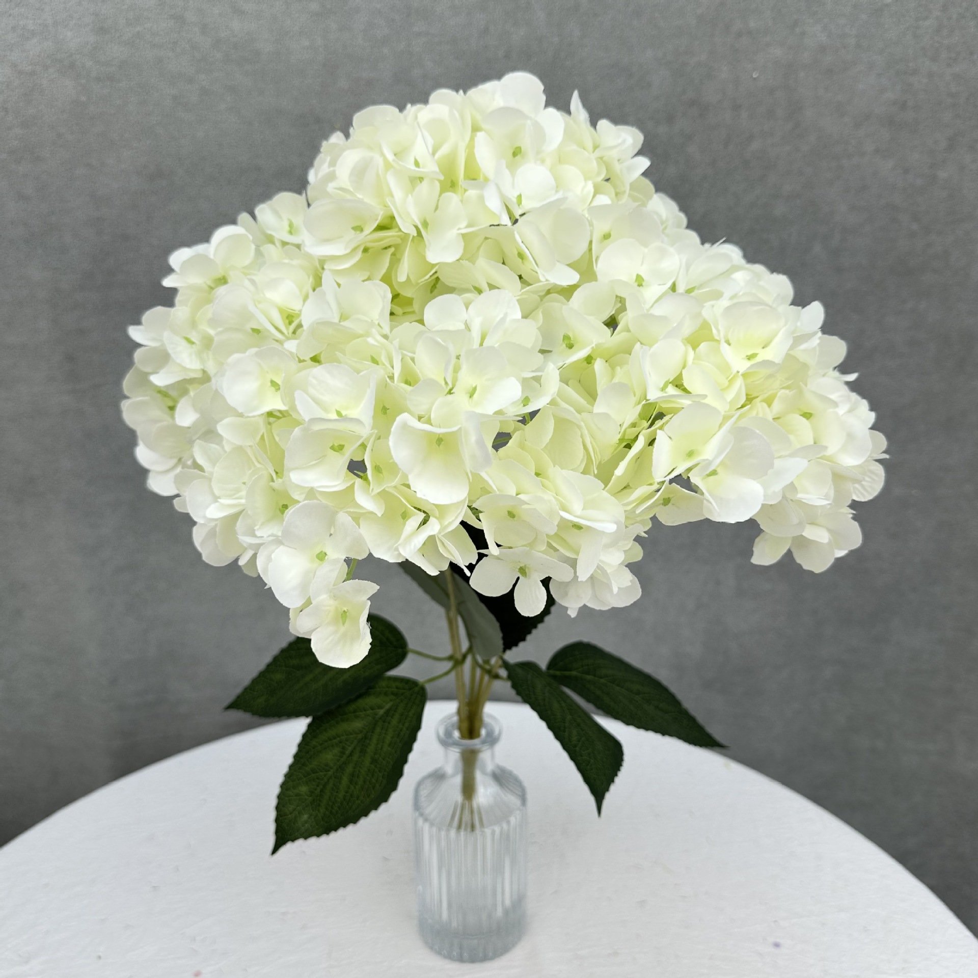 Creamy white