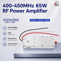 Amplificateurs de puissance RF personnalisables 65W 400-500MHz Module Lora GaN Module anti-drone VCO intégré