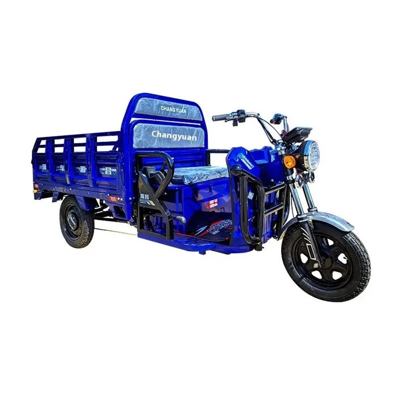 Factory Custom blue tricycle electric 3 wheels motorcycle cargo tricycle truck cargo tricycle