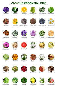 Zertifizierte Bio-Rezeptur 10ml Reines Ätherisches Lavendelöl zur Entspannung & Aromatherapie mit Minze, Gardenie, Hanf – Gesundheits-Pflegeset - Product Image 3