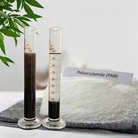Proveedores de Poliacrilamida a Precio de Fábrica en China para Deshidratación de Residuos y Procesamiento de Minerales