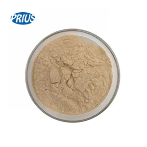 Nhà Máy Cung Cấp Bột Chiết Xuất Từ Nhân Sâm Mỹ 20:1 Panax Ginseng 10:1 50:1