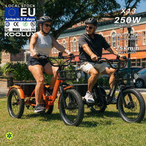 Bicicleta Eléctrica con Batería de Litio de 48V 15Ah, 250W, Neumáticos Gruesos de 20*4.0'', Cuadro de Aluminio, Frenos de Disco Hidráulicos para Courier X13 KOOLUX X13-Yo (Stock en la UE) - Product Image 1