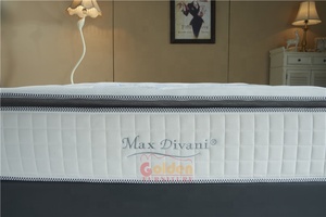 Hypo-alerjenik uyku iyi boyutu yatak şiltesi OEM ODM soğutma kutusu bahar ile bir kutu kalın cep bahar kral yatak Roll Up - Product Image 2