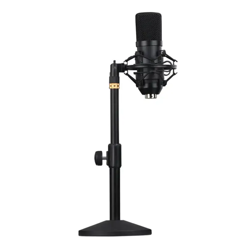 Microfone profissional de estúdio usb, echo de gravação dobrável, condensador, microfone