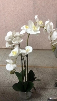 Bunga buatan anggrek kupu-kupu merah muda ungu putih Faux Phalaenopsis kustom pabrik bunga dalam Pot untuk dekorasi pernikahan rumah
