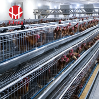 Cage à poules pondeuses de type A à 4 niveaux avec système d'alimentation et d'abreuvement automatique, courroie de fumier, collecte d'œufs CE, en acier galvanisé