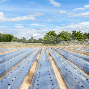 Film de paillis agricole pour le couvre-lit Rétention d'humidité-minimise l'évaporation, réduit la fréquence d'irrigation - Product Image 1