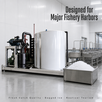 Machine à glaçons sur mesure 30 tonnes, refroidie à l'eau, en acier inoxydable, automatique, pour l'usine de transformation des produits de la mer, refroidissement quotidien du poisson frais