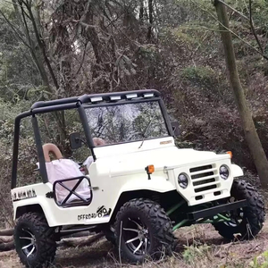 Buggy de tracción en las cuatro ruedas a precio barato 300cc Go Karts Utv 4x4 todoterreno Jeeps coche con 2 asientos para adultos a la venta - Product Image 1