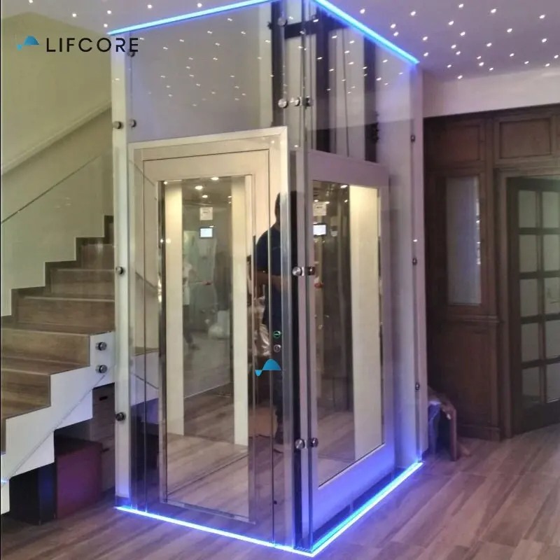 Factory directly 320KG residential house small home mini elevator lifts price small home elevator for elderly people
