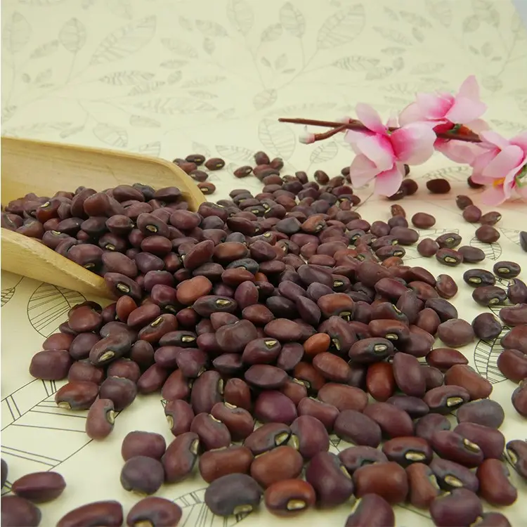 Großhandel OEM ODM bio-getrocknete rote Kuhbirne Bohnen Saatgut