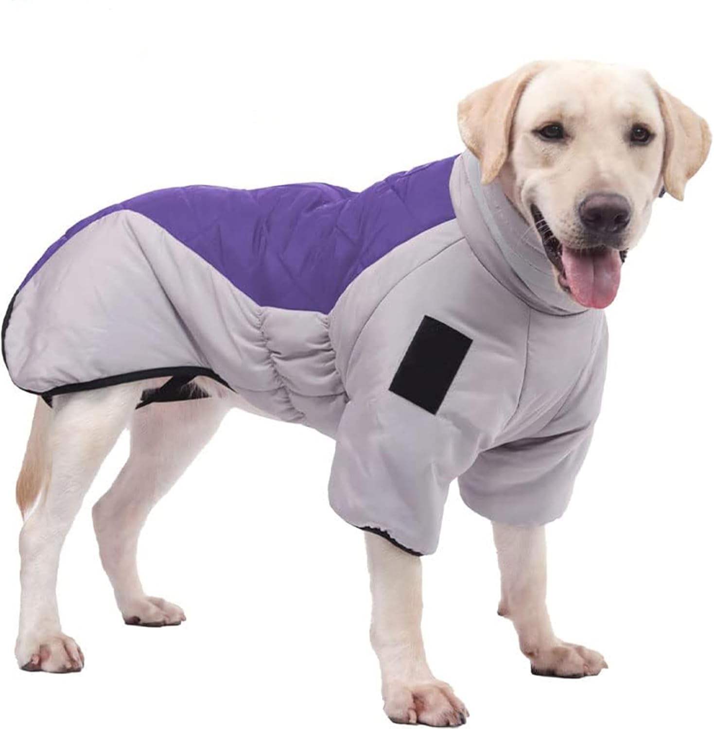 สีม่วงเทา