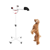 Sèche-cheveux pour animaux de compagnie écologique avec support, 2 en 1, avec tuyau soufflant, pour salon de toilettage des animaux, rechargeable, 2400W, sèche-cheveux pour chiens