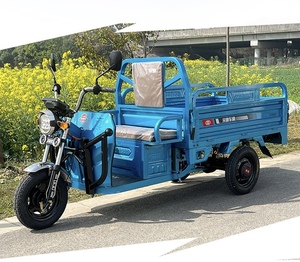 Buon prezzo pesante <span class=keywords><strong>tre</strong></span> ruote triciclo con motore ad alta potenza 1500W elettrico Cargo triciclo camion - Product Image 5