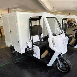 Tre ruote Cargo triciclo elettrico moto risciò completamente chiuso mobilità Scooter Cargo Scooter motore con cabina