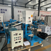 Petite machine extrudeuse d'aliments flottants pour poissons, machine à granulés pour l'aquaculture, pour tilapia, carpe, poisson-chat