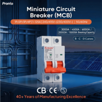 KORLEN 2P Tipe B Perlindungan Sirkuit Tegangan Listrik 6kA 25A Pemutus Sirkuit Miniatur Din Rail