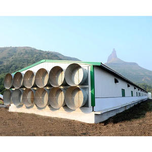 מבנה פלדה מודרני בניין בית עוף בעיצוב מסורתי בית עוף לחווה בטיחות יציבות בחוות עופות - Product Image 2