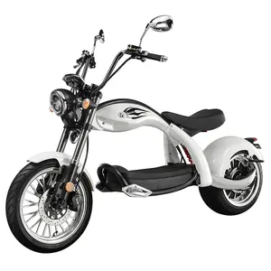 Professional Supplier large electric motorcycle high speed fat tire citycoco scooters electric scooter eec/coc