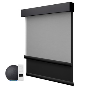 ZSTARR, venta al por mayor, cortinas de ventana, Control remoto motorizado inteligente eléctrico, doble capa, 2 en 1, persianas enrollables de día y noche - Product Image 1