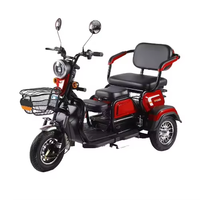 Véhicule électrique certifié CE 48V pour 2 personnes, scooter électrique anti-retournement pour personnes âgées, pour les déplacements quotidiens