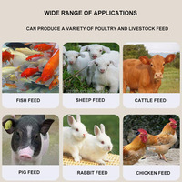 Machine à granulés d'aliments pour animaux à haute efficacité 220V, granulateur d'aliments pour volailles pour la production d'élevage en ferme