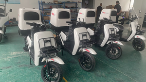 Motocicleta Eléctrica de 3000w de Gran Autonomía y Dos Plazas para Adultos, con Buena Reputación, en Venta - Product Image 6