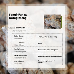 <span class=keywords><strong>Olio</strong></span> Essenziale di Panax Notoginseng 100% Puro e Naturale Personalizzato per Recupero Muscolare, Sollievo dal Dolore Articolare, Guarigione delle Ferite, Massaggio - Product Image 2