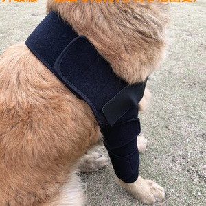Stock ajustable perro <span class=keywords><strong>rodillera</strong></span> Protector mascota lesión quirúrgica cubierta protectora gimnasio compresión envoltura recuperación perro <span class=keywords><strong>rodillera</strong></span> - Product Image 3