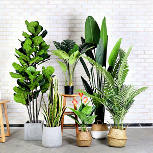 Plantes artificielles chinoises tendances : Palmiers, olives, bambous, bananiers <span class=keywords><strong>en</strong></span> <span class=keywords><strong>pot</strong></span> pour la décoration intérieure - Product Image 1