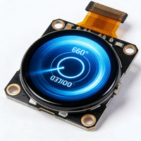 Modul Layar LCD TFT Bulat 1,3 Inci Kustom 160x160 dengan Kecerahan 450 Nits untuk Desain Fashion Jam Tangan Pintar
