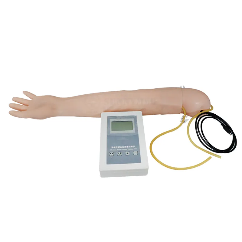 Modèle de main de bras d'entraînement d'injection de bras de science SY-N036medical avec le modèle d'enseignement multifonctionnel de bras d'entraînement IV d'ensemble