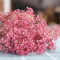 Hete Aanbieding Fabrieksuitverkoop Gedroogde Baby's Adem Gypsophila Bloemen Miljoenen Sterren Bouquet voor Bruiloft/Huisdecoratie