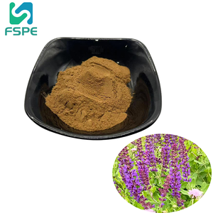 <span class=keywords><strong>Salvia</strong></span> <span class=keywords><strong>Officinalis</strong></span> özü 10% Carnosic asit adaçayı özü - Product Image 1