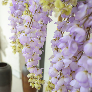 Guirlandes de fleurs artificielles en soie Qingxu, longues branches de glycine, pour décorations de mariage - Product Image 4