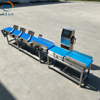 Máquina Clasificadora de Pescado Industrial con Cinta Transportadora, Clasificador de Peso para Productos Acuáticos, Acero Inoxidable, Grados Personalizables
