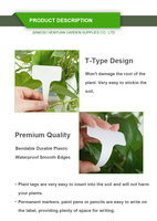 Perlengkapan Kebun Plastik Modern Murah Grosir, Penanda Tipe T PP, Label Tanaman Sayuran dan Label Tanda untuk Berkebun