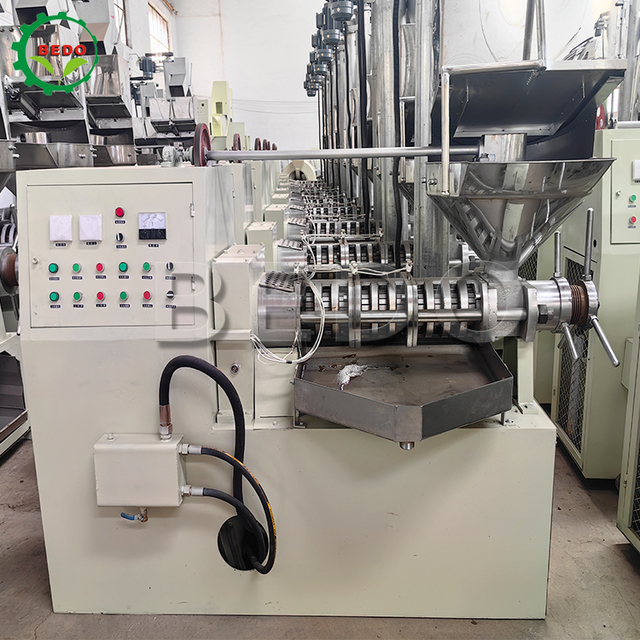 Cooking Oil Making Machine 100 kg Per Hour Cold and Hot Press Oil Extraction Machine Oil Press Machine for Groundnuts