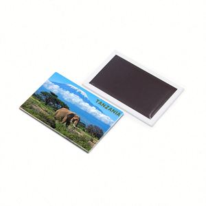Recuerdos de Refrigerador, Imanes de Nevera con Diseño Personalizado de Países Africanos, Tanzania - Product Image 3