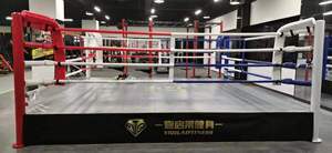 Ring de Boxe Professionnel pour Entraînement en Salle de Sport, avec ou sans Table - Product Image 4
