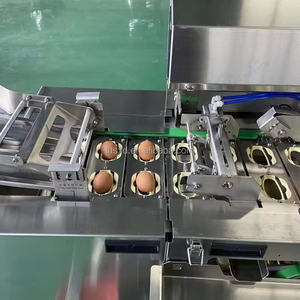 Máquina Separadora de Yema y Clara de Huevo Automática de Nuevo Tipo, Material de Grado Alimenticio, Adecuada para el Procesamiento Profesional de Alimentos - Product Image 5