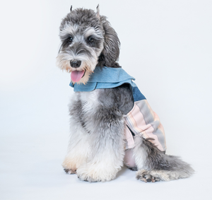 Recién llegado, arnés para perros con logotipo personalizado, andadores de tela suave cómodos y ajustables con poliéster y bufanda decorativa - Product Image 5