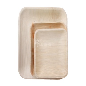 Plaques rectangulaires biodégradables jetables en forme de feuille de palmier Areca Design de luxe quantité minimale de commande bas compostable cadeaux de vaisselle de 6 à 10 pouces - Product Image 5