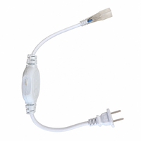 Kit d'accessoires pour bande lumineuse LED 220V avec prise secteur n°11, redresseur à broches en cuivre IP22 pour utilisation avec éclairage néon