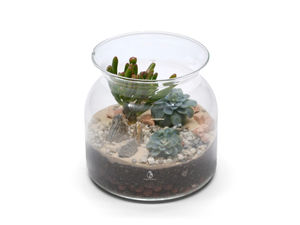 Großhandel DIY <span class=keywords><strong>Terrarium</strong></span> Plant Kit Kunden spezifische Miniatur Landschaft Diy Dekoration - Product Image 4